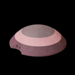 Skildpadde vintage rose Børn Aktivitetslegetøj|Børnemøbler