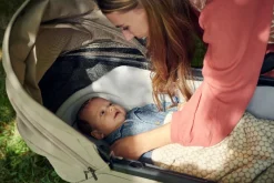 Clearance Day5 complete set | Forest green Duo- &Amp; Kombivogne