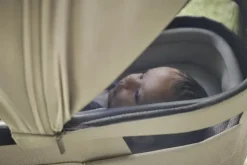 Discount Day5 complete set | Sage green Duo- &Amp; Kombivogne