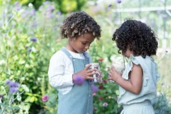 - Insektglas Forest Friends FSC Udeleg