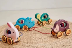 Best Skildpadde Trælegetøj|Rangler