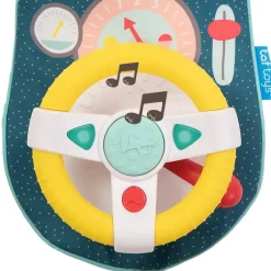 Hot Taf Koala bilrat Biler