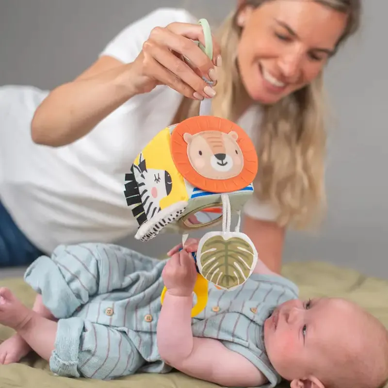 Online Taf Savannah discovery cube Aktivitetslegetøj|Rangler