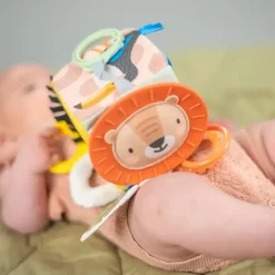 Online Taf Savannah discovery cube Aktivitetslegetøj|Rangler