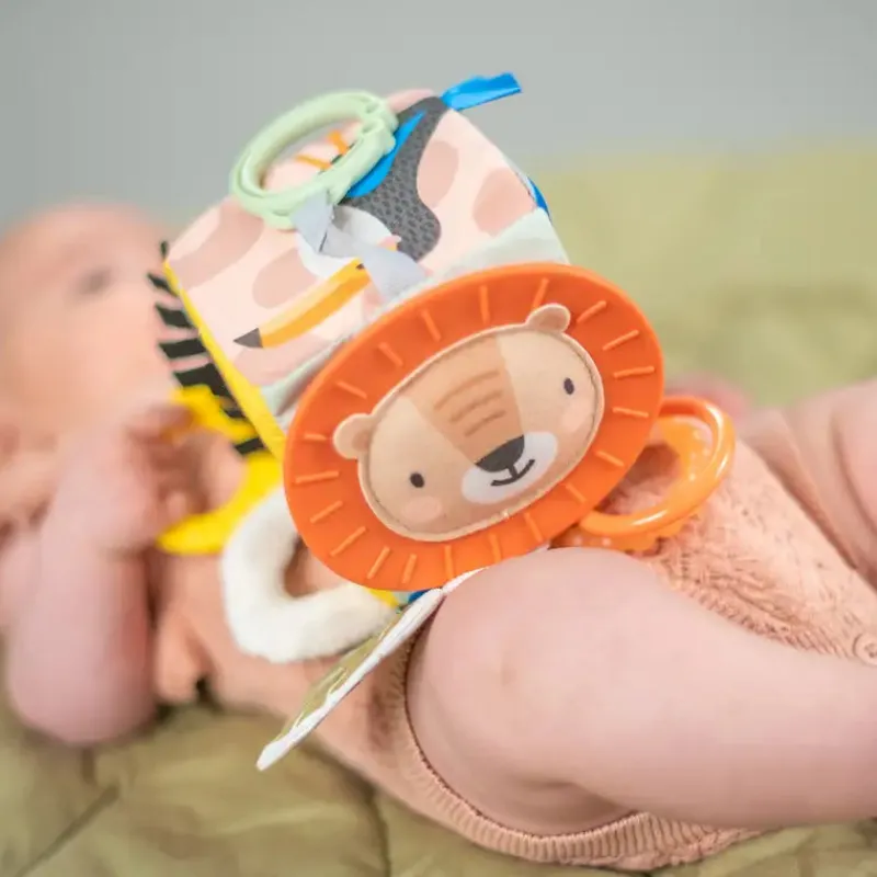 Online Taf Savannah discovery cube Aktivitetslegetøj|Rangler